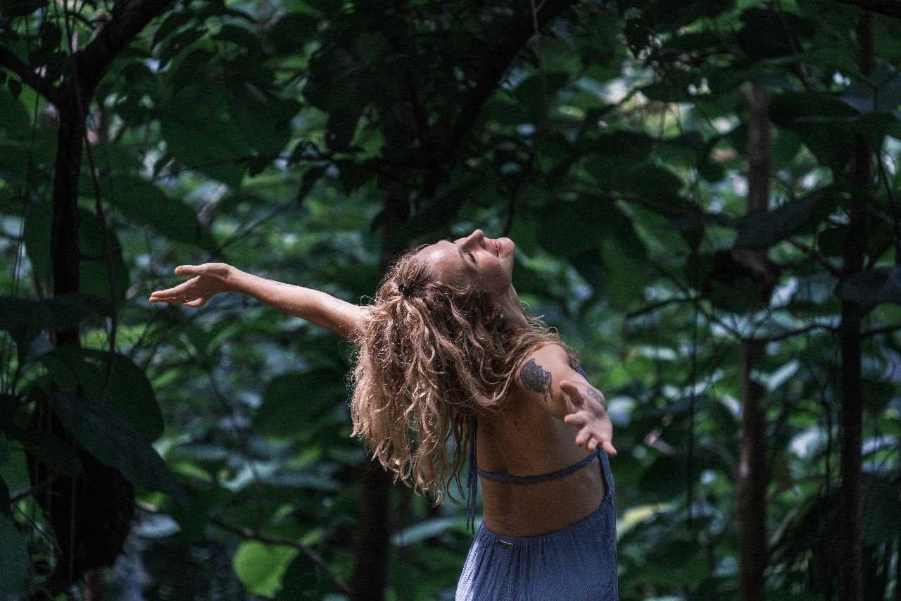 Mishy in the forest